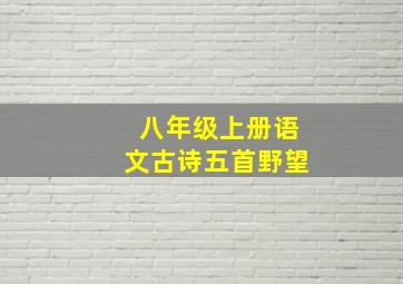 八年级上册语文古诗五首野望