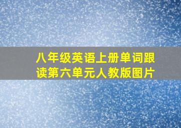 八年级英语上册单词跟读第六单元人教版图片