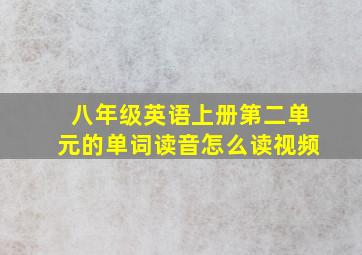 八年级英语上册第二单元的单词读音怎么读视频