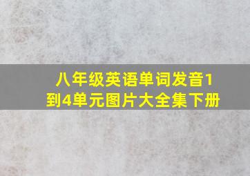 八年级英语单词发音1到4单元图片大全集下册