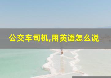 公交车司机,用英语怎么说