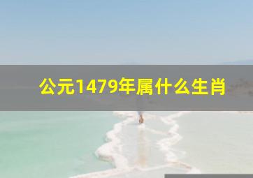 公元1479年属什么生肖