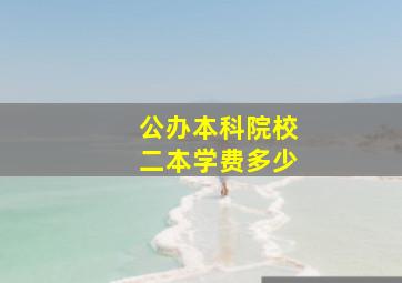 公办本科院校二本学费多少