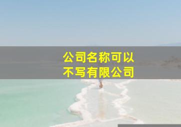 公司名称可以不写有限公司