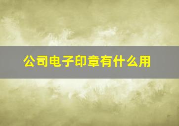 公司电子印章有什么用