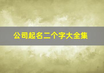 公司起名二个字大全集