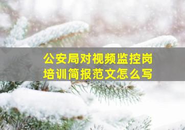 公安局对视频监控岗培训简报范文怎么写