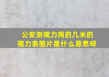 公安测视力用的几米的视力表图片是什么意思呀