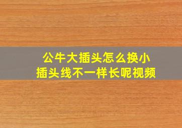 公牛大插头怎么换小插头线不一样长呢视频