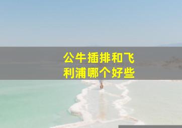 公牛插排和飞利浦哪个好些