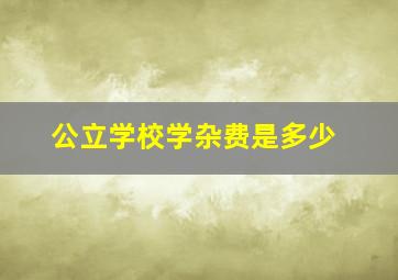 公立学校学杂费是多少