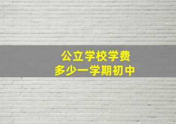 公立学校学费多少一学期初中