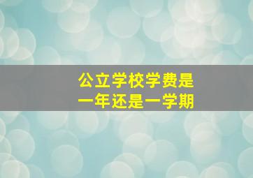 公立学校学费是一年还是一学期