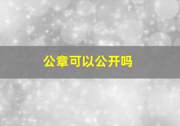 公章可以公开吗