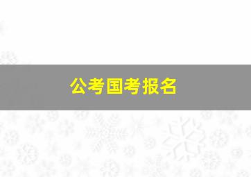 公考国考报名