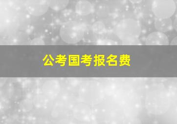 公考国考报名费