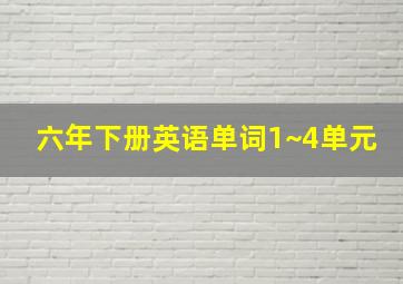 六年下册英语单词1~4单元