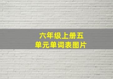 六年级上册五单元单词表图片