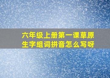 六年级上册第一课草原生字组词拼音怎么写呀