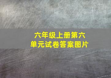 六年级上册第六单元试卷答案图片