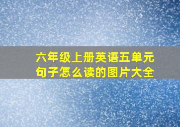 六年级上册英语五单元句子怎么读的图片大全