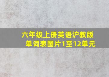 六年级上册英语沪教版单词表图片1至12单元