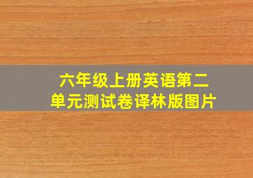 六年级上册英语第二单元测试卷译林版图片