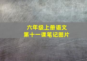 六年级上册语文第十一课笔记图片