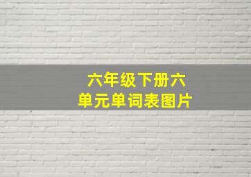 六年级下册六单元单词表图片