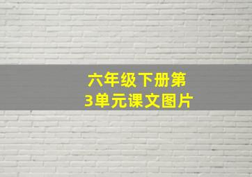 六年级下册第3单元课文图片