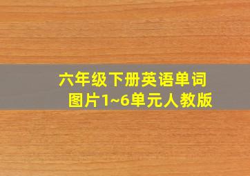 六年级下册英语单词图片1~6单元人教版