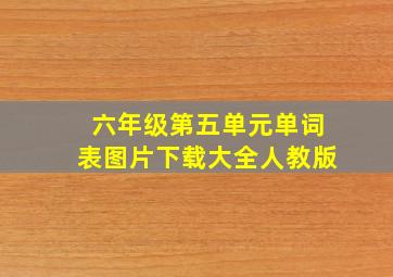 六年级第五单元单词表图片下载大全人教版