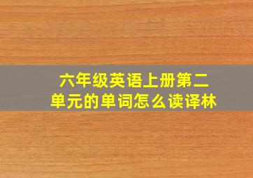 六年级英语上册第二单元的单词怎么读译林