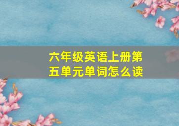 六年级英语上册第五单元单词怎么读