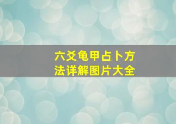 六爻龟甲占卜方法详解图片大全