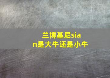 兰博基尼sian是大牛还是小牛