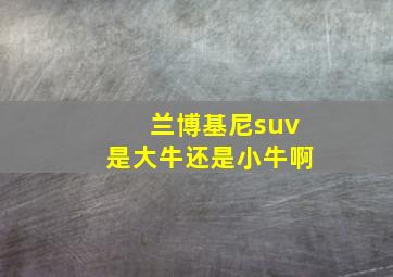 兰博基尼suv是大牛还是小牛啊