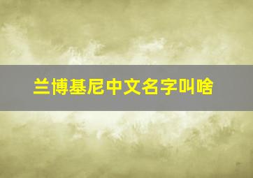 兰博基尼中文名字叫啥