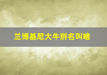 兰博基尼大牛别名叫啥