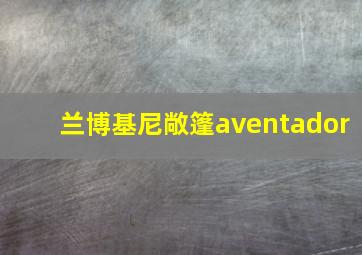 兰博基尼敞篷aventador