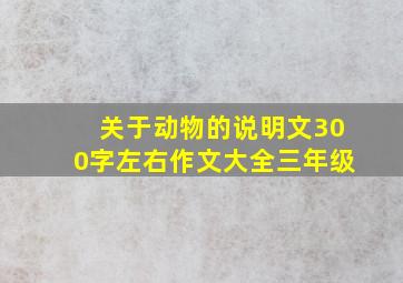 关于动物的说明文300字左右作文大全三年级