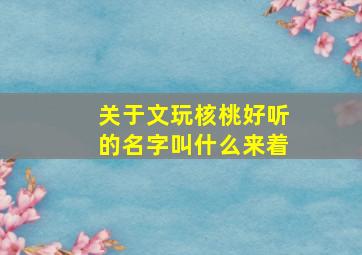 关于文玩核桃好听的名字叫什么来着