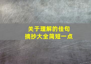 关于理解的佳句摘抄大全简短一点