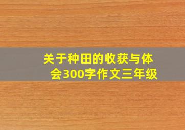 关于种田的收获与体会300字作文三年级