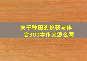 关于种田的收获与体会300字作文怎么写