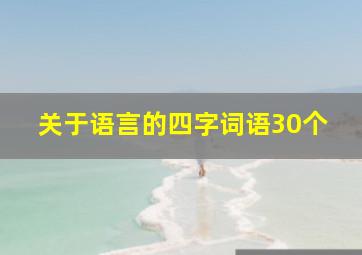 关于语言的四字词语30个