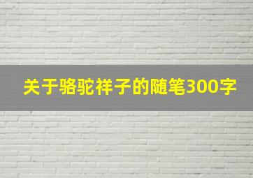 关于骆驼祥子的随笔300字