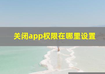 关闭app权限在哪里设置