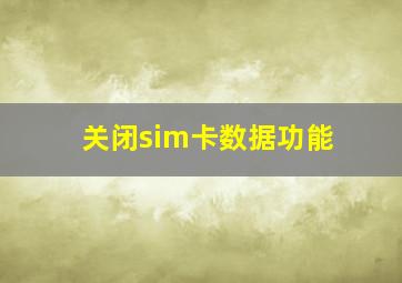 关闭sim卡数据功能