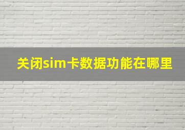 关闭sim卡数据功能在哪里